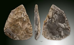 Vuistbijl van Late Neanderthalers uit Drenthe 50.000 jaar oud