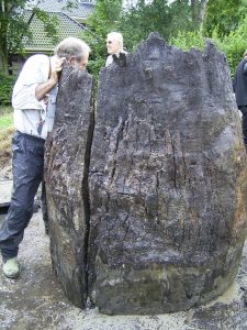 Boomstamput 11e eeuw opgegraven Twello Holthuis archeologie AWN 18